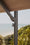 Image to render