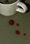 Image to render