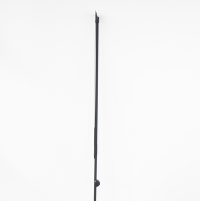 Baleine diagonale