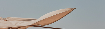 Image to render