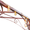 Image to render